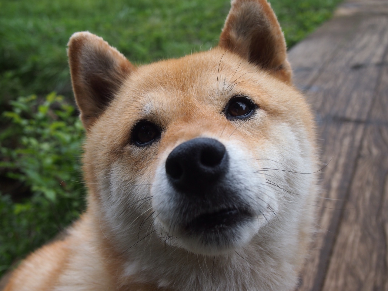 暗夜王冠，美加墨世界杯之夜与本泽马的终极答案