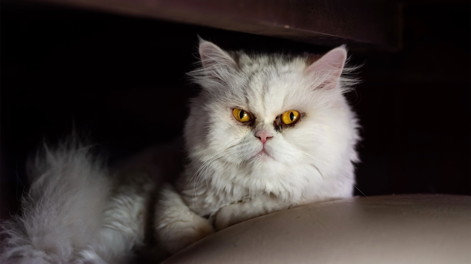 开云体育-生死战奇迹！尼克斯东决险胜步行者，杰伦格林关键接管定乾坤