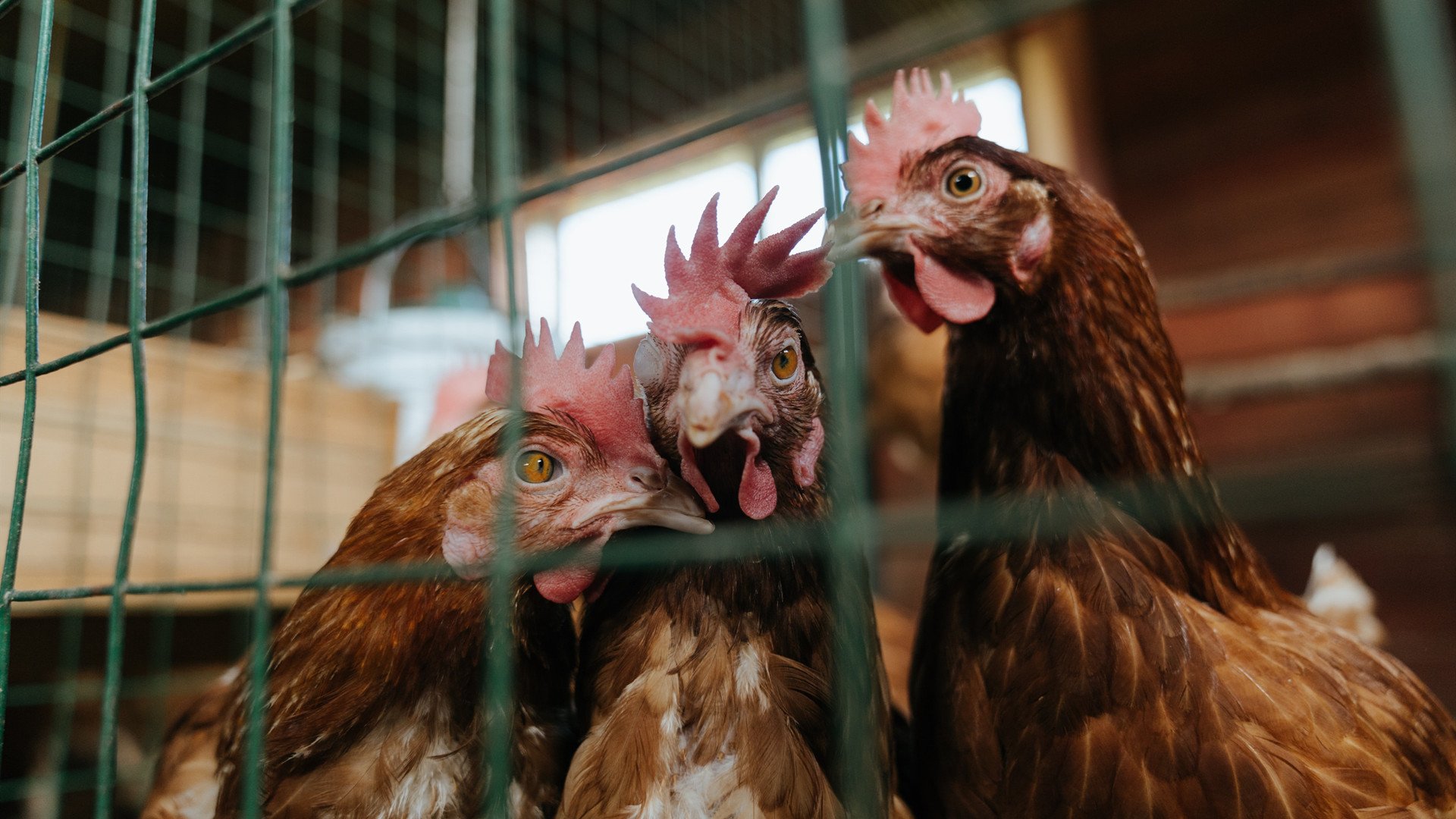 37分钟与17年,勒布朗·詹姆斯的焦点之战哲学