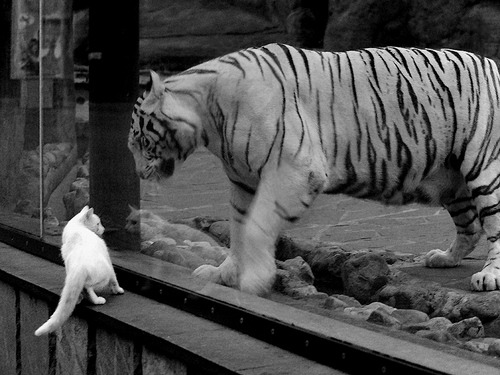 铁血对抗与高效爆发，季后赛前夜的攻防启示录