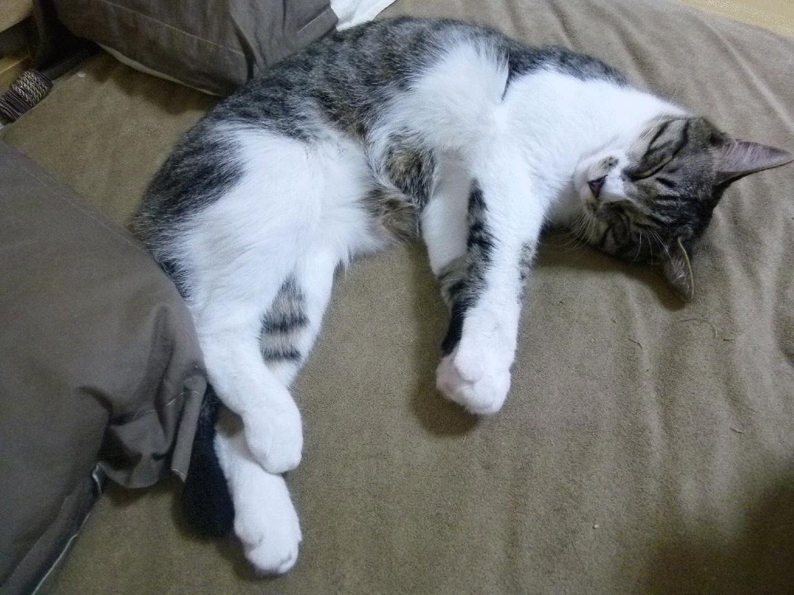 冰雪鏆战红焰，本泽马的第三舞台如何重新定义足球纬度