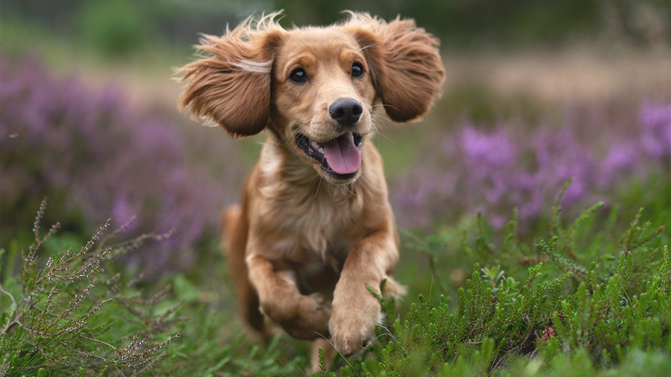 北欧风暴遭中美洲铁壁冰封!托尼独造三球导演全面压制好戏