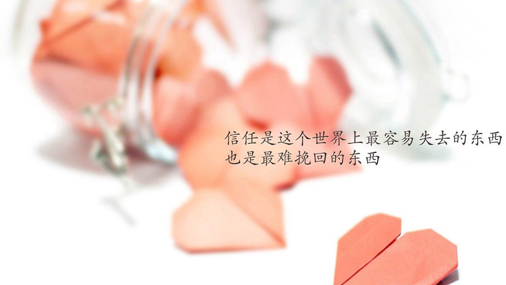 丝线掌控者，迪马利亚的魔法笔触与厄瓜多尔的节奏牢笼