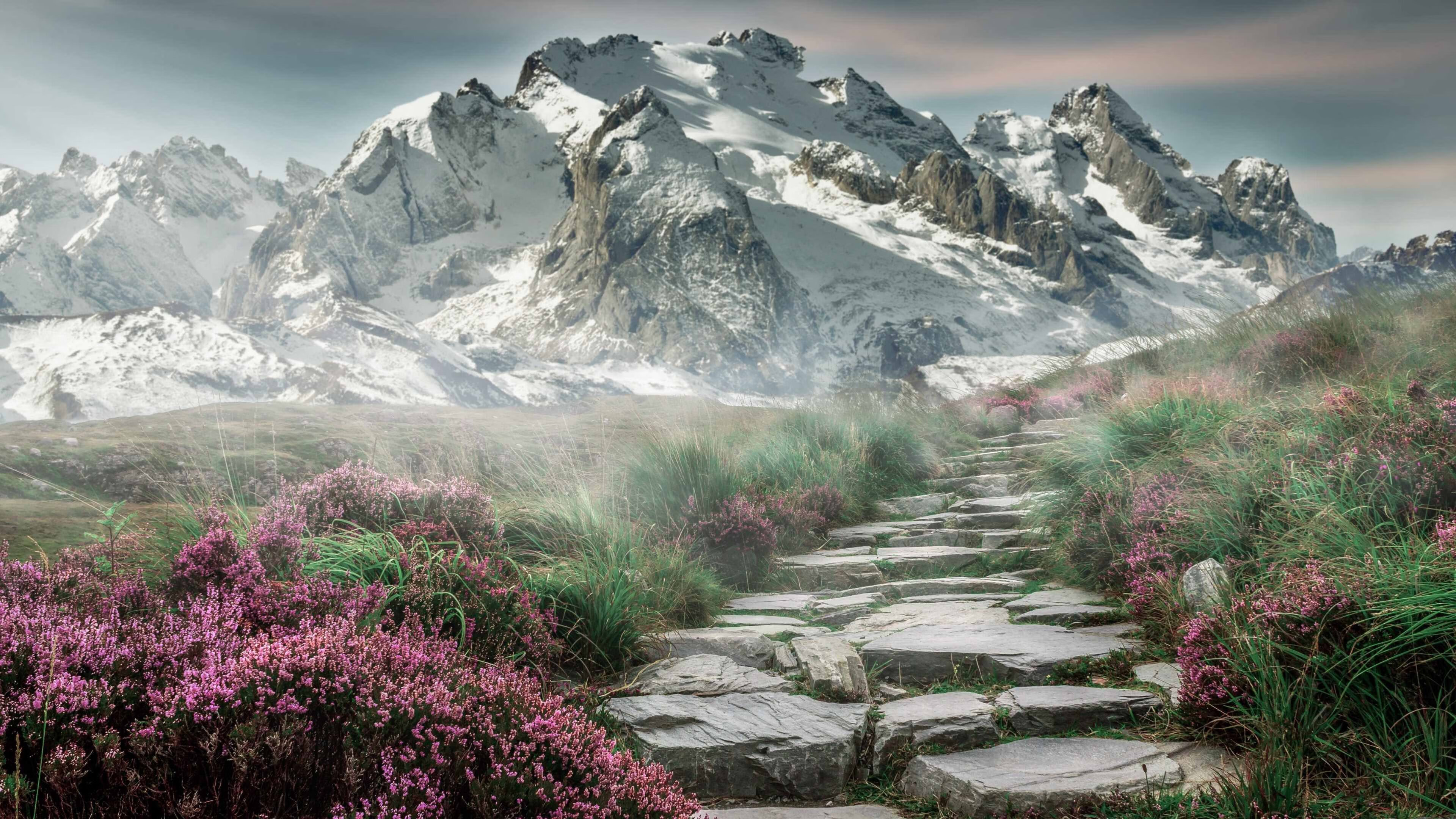 黑金之血，不灭神话，詹姆斯关键战不手软