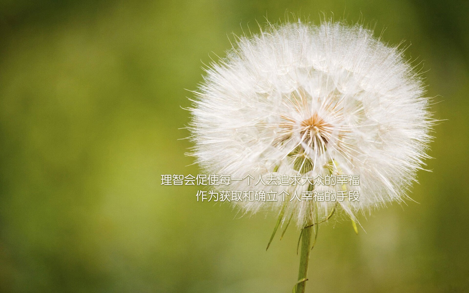 布克狂飙60分诠释速度艺术，红色禁区上演F1式终极超车