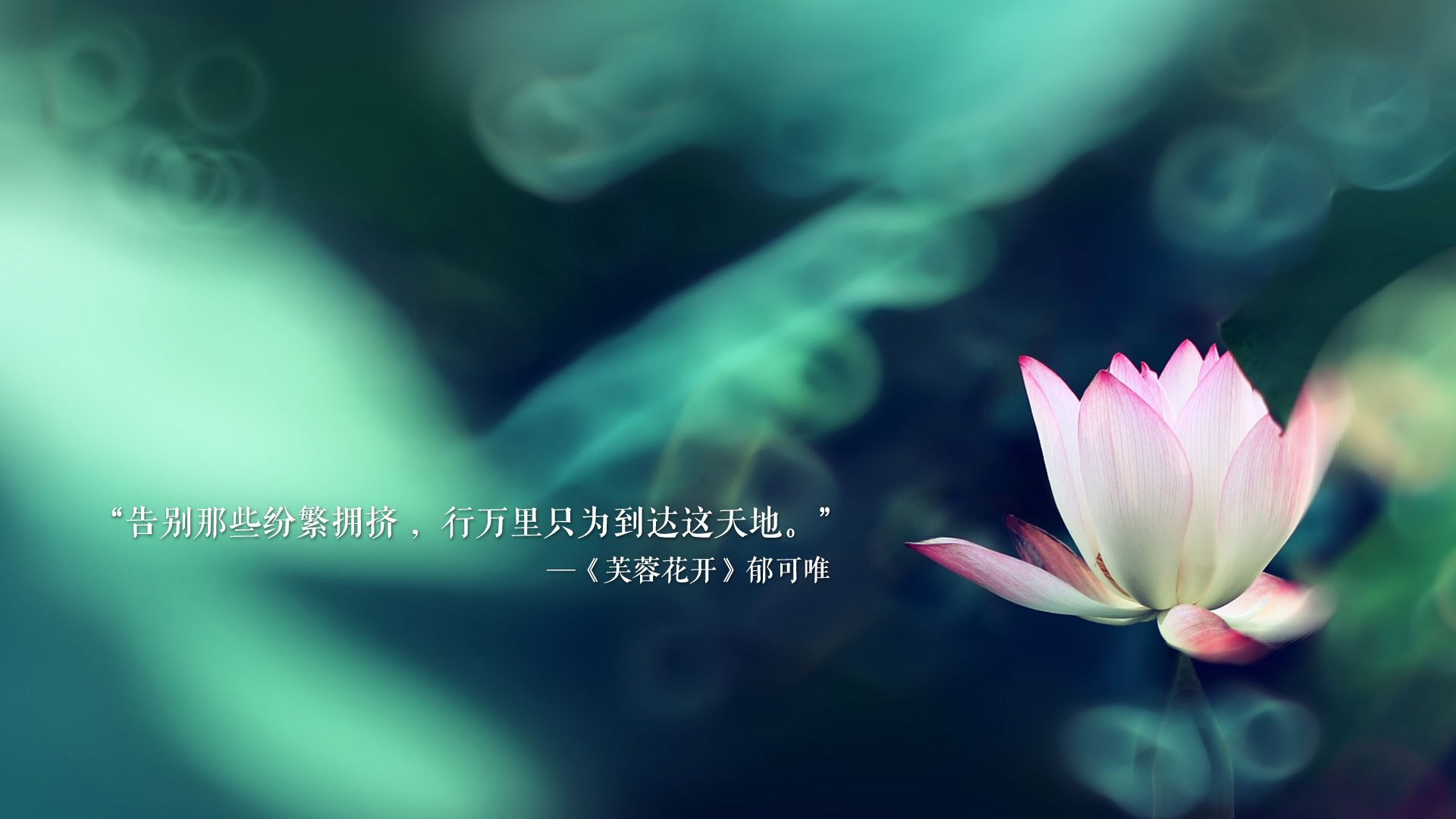 被遗忘的剧本,努涅斯在2026年世界杯H组的最后一舞,如何用一场险胜重新定义孤胆英雄
