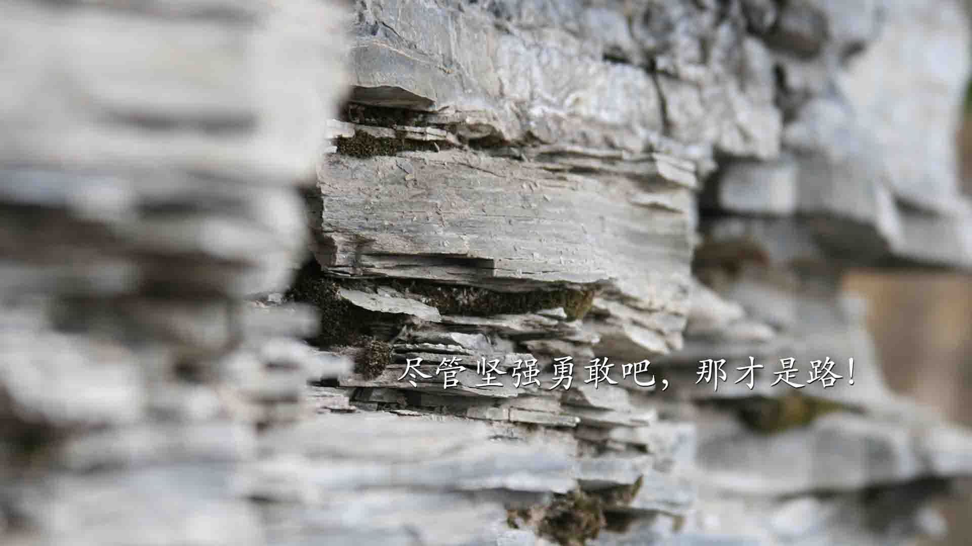 唯一的悖论,当哈兰德成为太极虎的獠牙,与比利时红魔的宿命对决—2026世界杯H组,一场改写足球逻辑的史诗