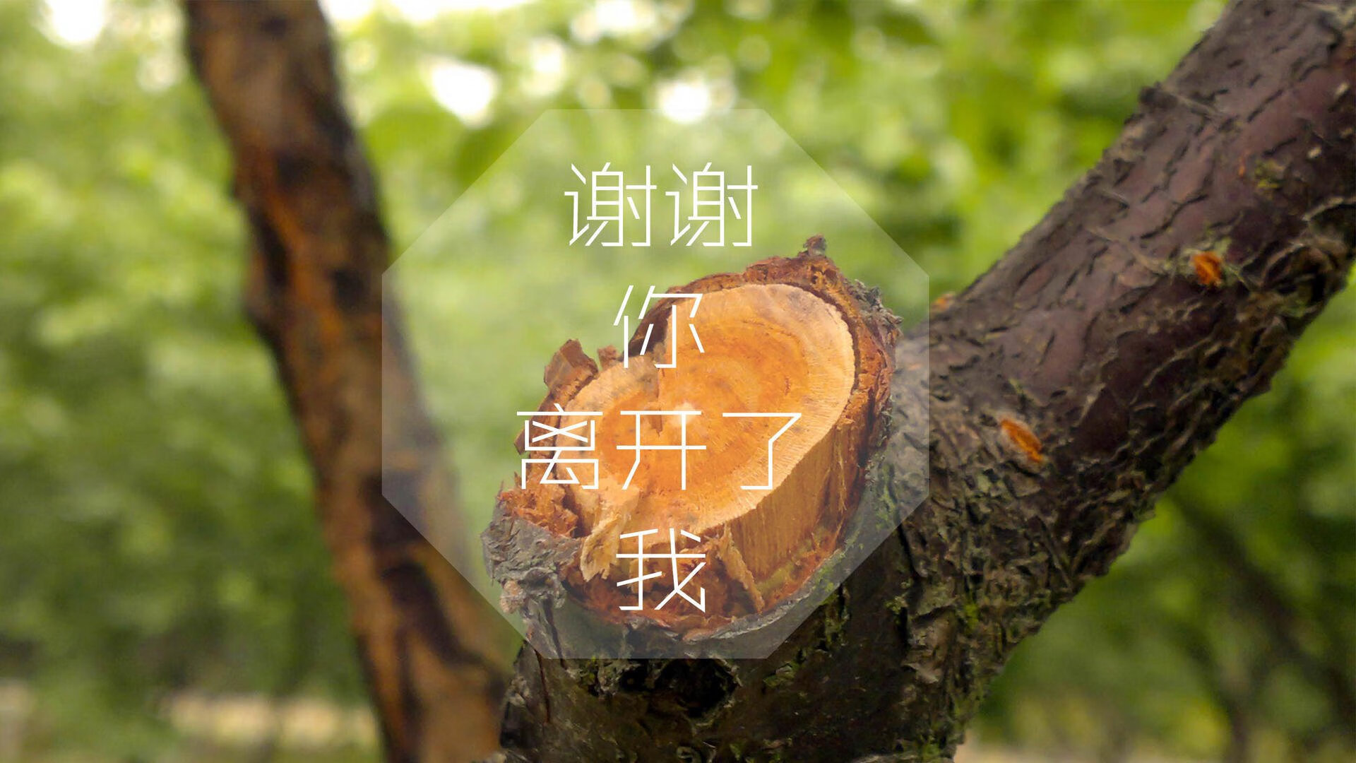 太极虎啸巴黎，迪亚斯，那把唯一刺穿高卢雄鸡心脏的混血利刃